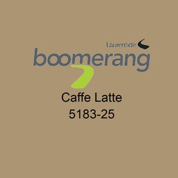 [192-183256] DV - BOOMERANG INTERIOR LATEX PAINT SATIN, CAFFE LATTE 3.78L